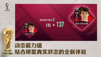  fifa足球世界体验服安卓版