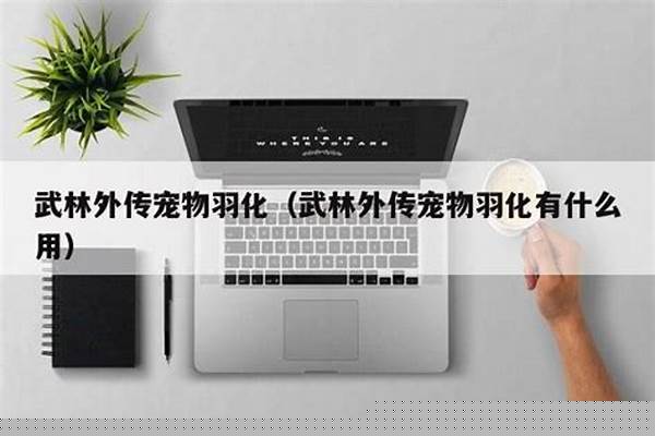 武林外传宠物羽化有什么用