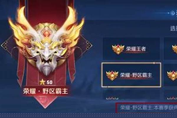 王者荣耀称号在哪里设置地区