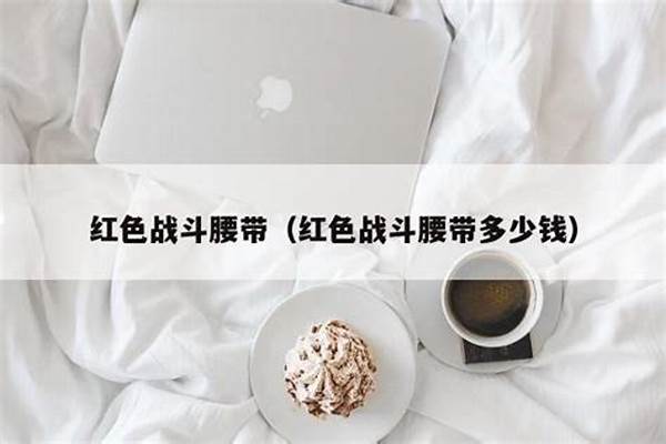 红色战斗腰带惩戒骑用好吗