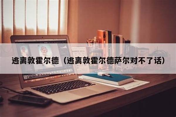 逃离敦霍尔德萨尔对不了话