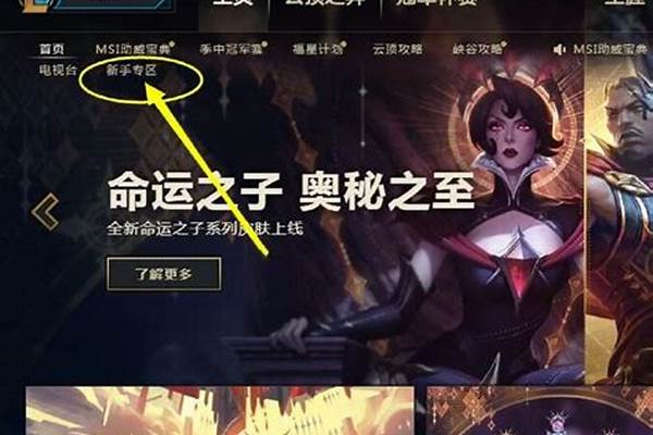 菲奥娜的新手训练营打不开