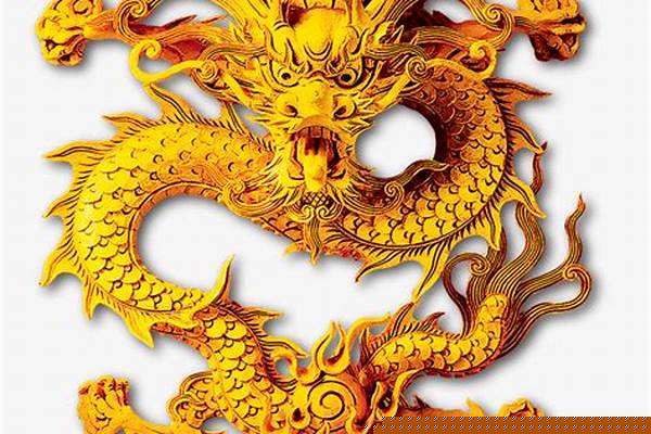 金龙装饰材料城在什么位置