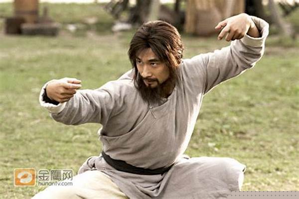 醉拳宗师苏乞儿赵文卓