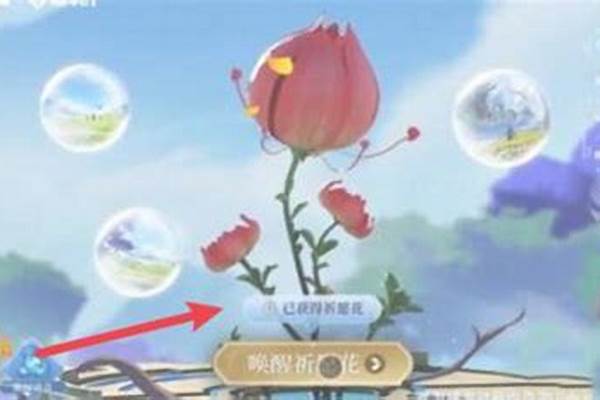 王者荣耀的祈愿怎么弄