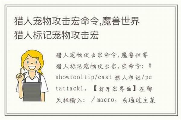 猎人宠物攻击宏命令