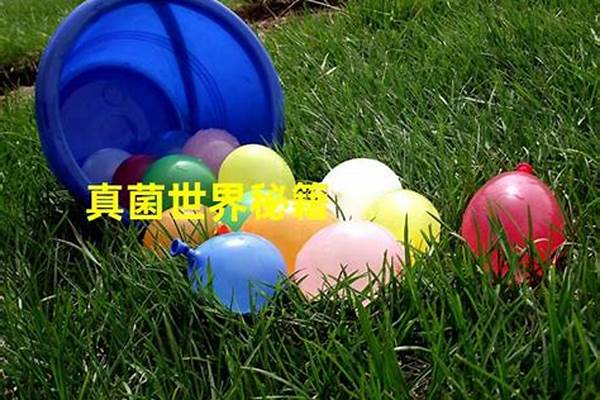 真菌世界秘籍怎么用