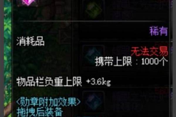 狂战士守护珠选择什么属性