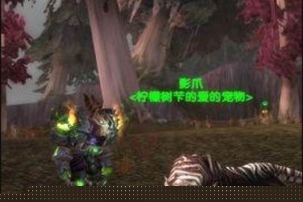 猎人稀有宠物位于灰熊丘陵