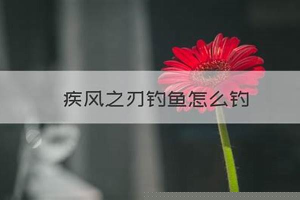 疾风之刃钓鱼怎么钓