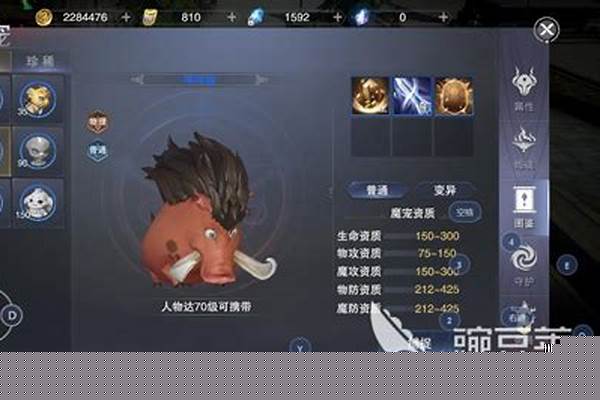神魔大陆宠物捕捉