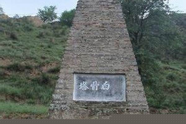 白骨荒野怎么占塔