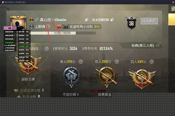 飘移辅助和平精英