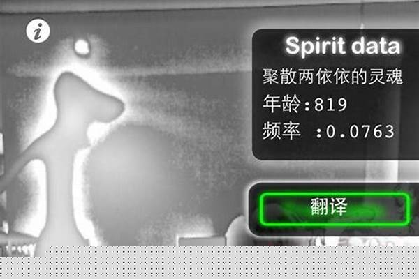 鬼魂探测器怎么玩教程
