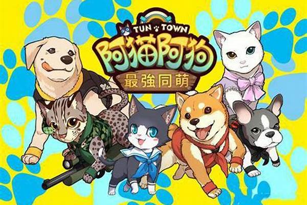 阿猫阿狗秘籍怎么用