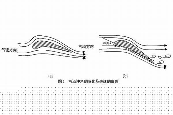 冲角是什么样子的