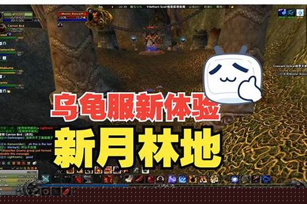 乌龟服新副本掉落