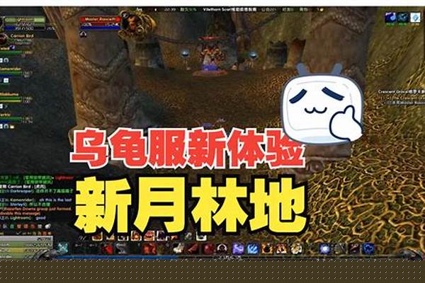 乌龟服新月林地副本掉落