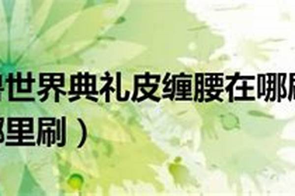 典礼皮缠腰数据库