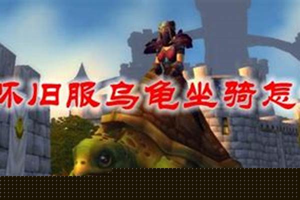乌龟服惩戒骑装备