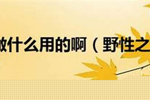 什么怪掉野性之心