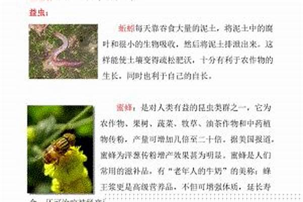 一年级学的益虫益鸟