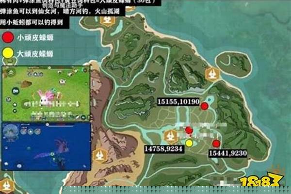 创造与魔法顽皮蝾螈饲料怎么弄