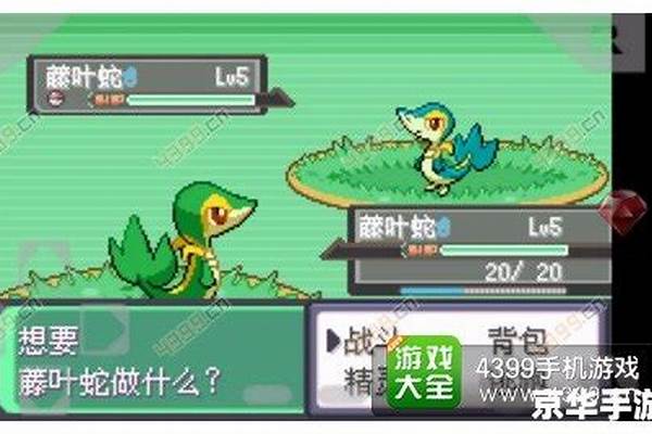 口袋妖怪黑白金手指怎么改性格