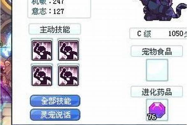彩虹岛灵宠技能书效果
