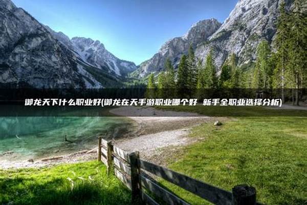 御龙天下什么职业好打