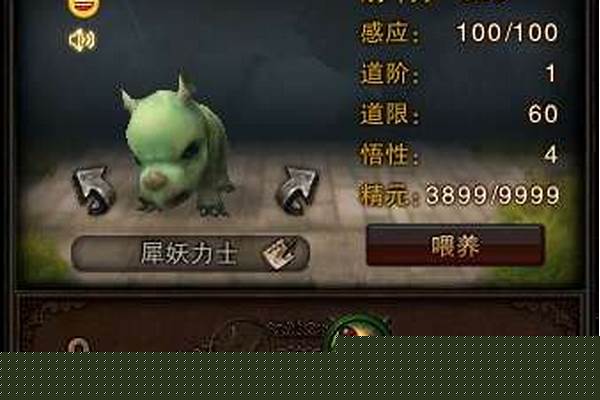 斗战神宠物装备开孔