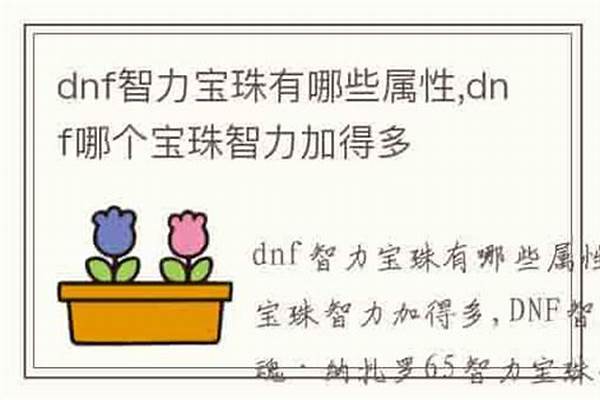 智力宝珠有哪些种类