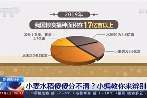水稻主要成分是啥