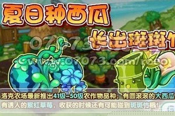 洛克王国斑斑竹好吗