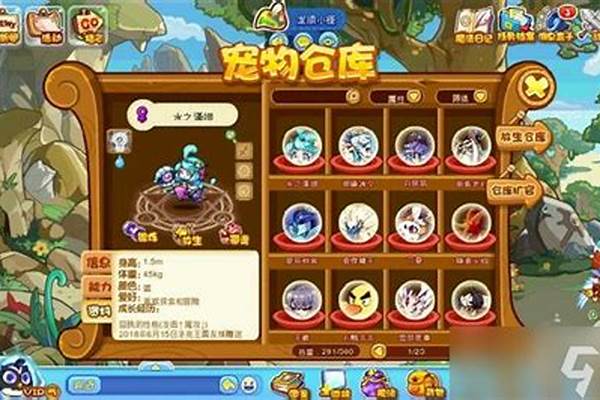 洛克王国海豚挖宝可以玩多少次