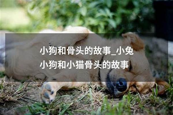 狗和骨头的故事的寓意