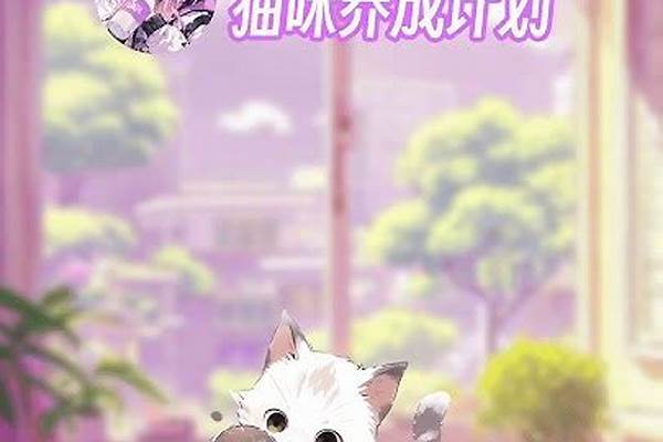 猫咪养成计划网王
