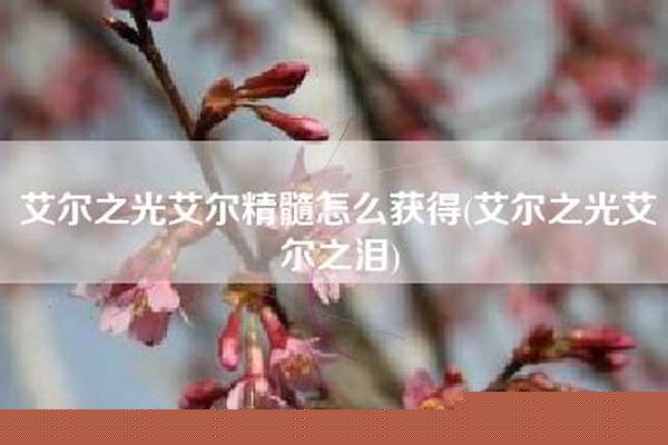 艾尔精髓怎么获得