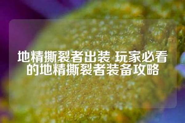 装备怎么克地精撕裂者