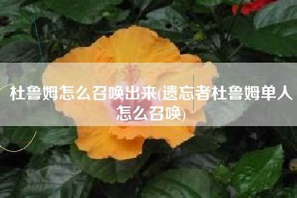 遗忘者杜鲁姆怎么出来