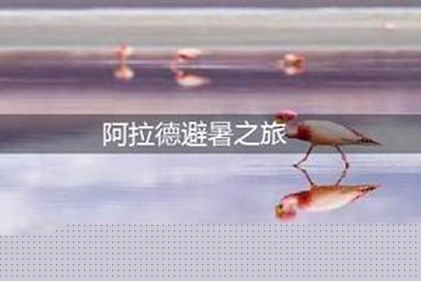 阿拉德避暑之旅有什么
