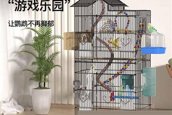 鹦鹉笼最完美布置